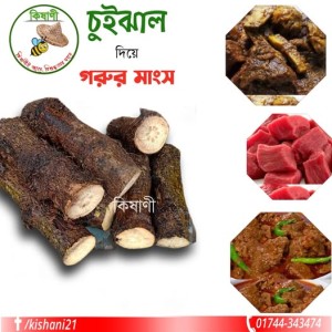 Chuijhal (চুইঝাল)